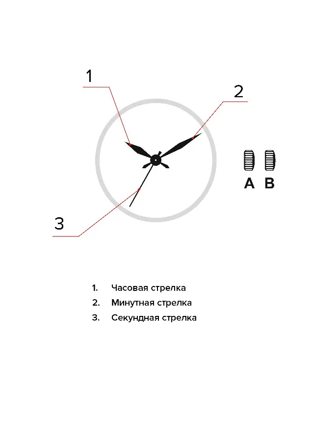 Изображение паспорта