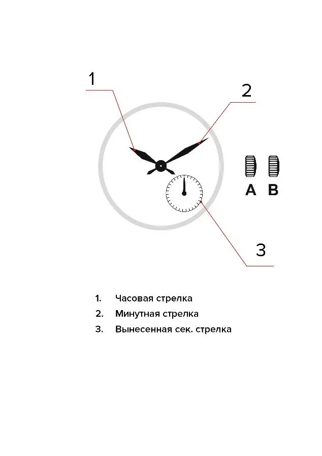 Изображение паспорта