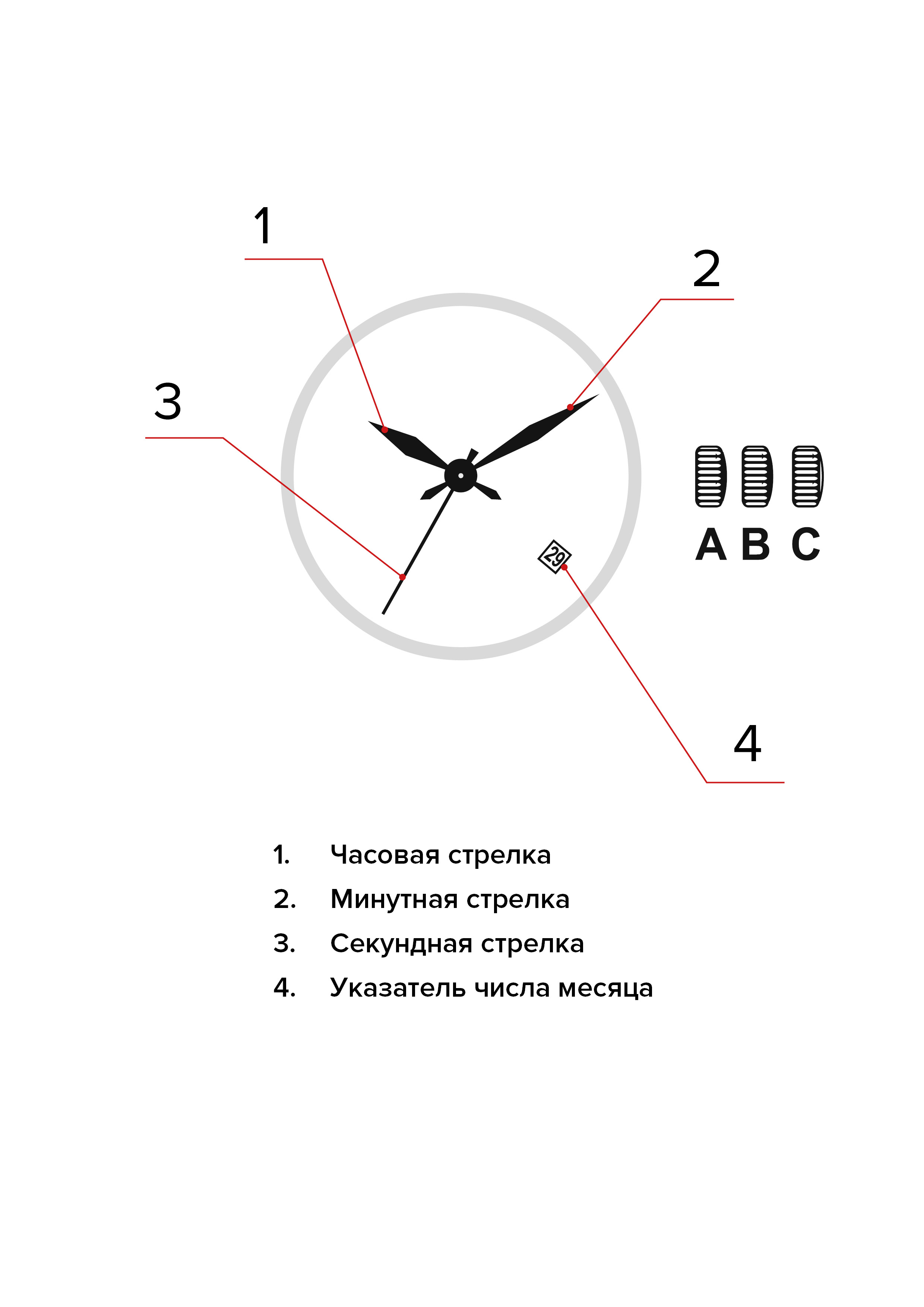 Изображение паспорта
