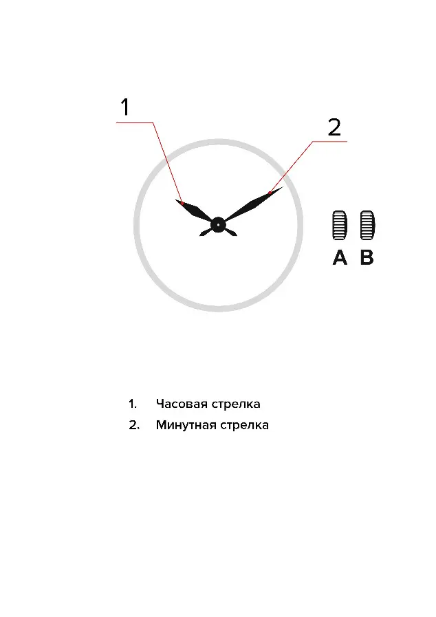 Изображение паспорта