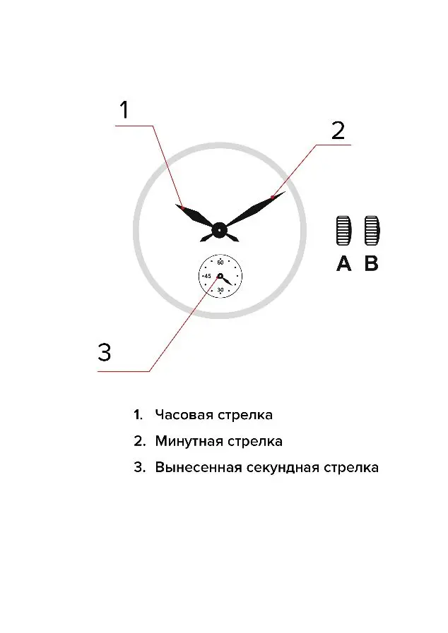 Изображение паспорта