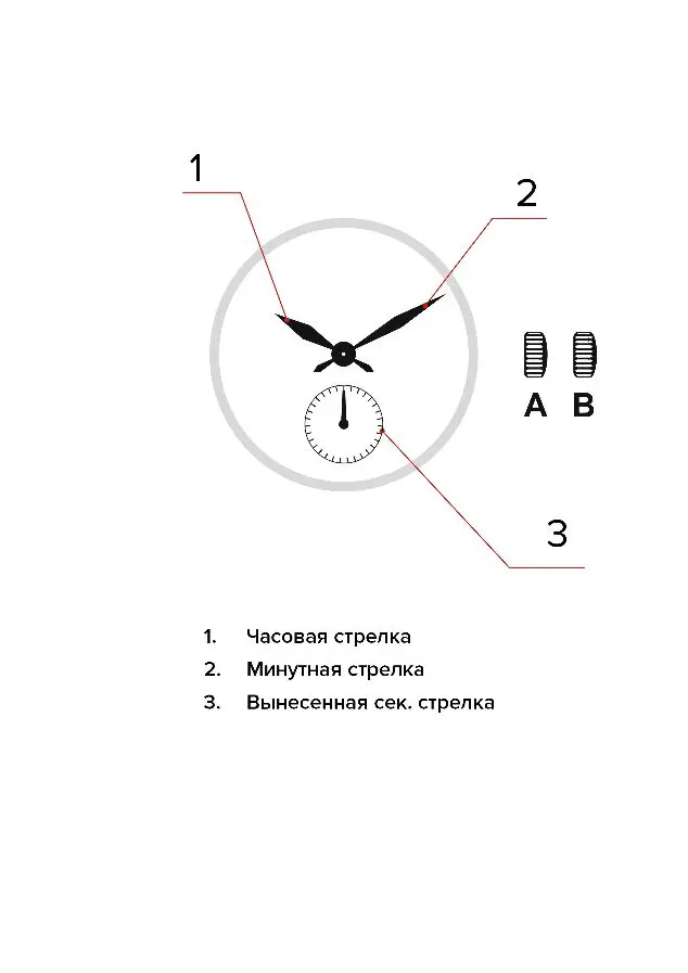 Изображение паспорта