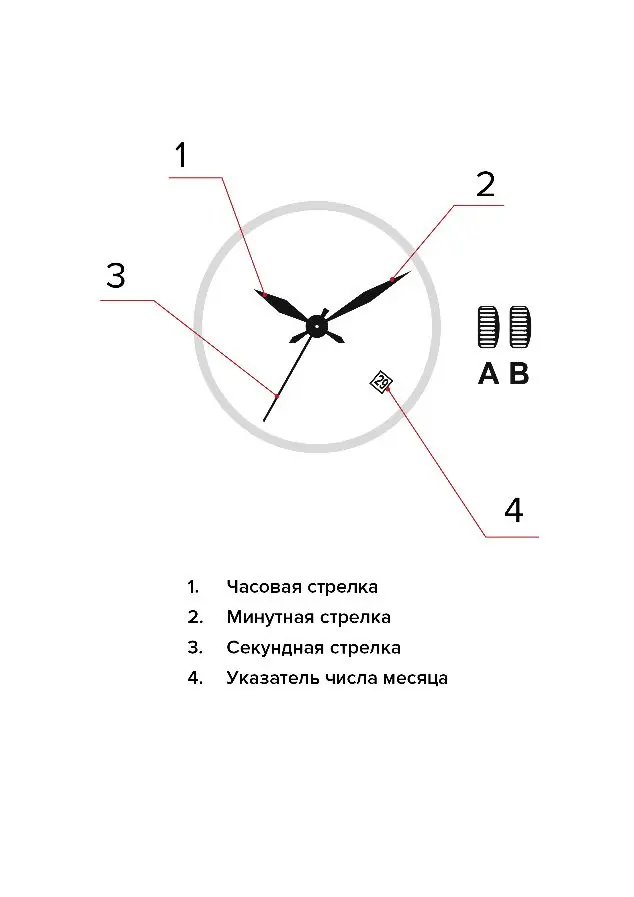 Изображение паспорта