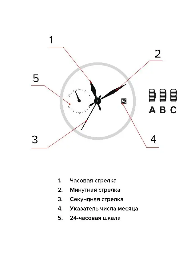 Изображение паспорта