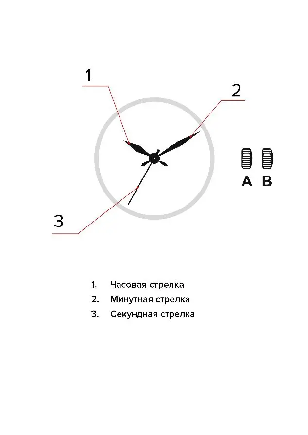Изображение паспорта