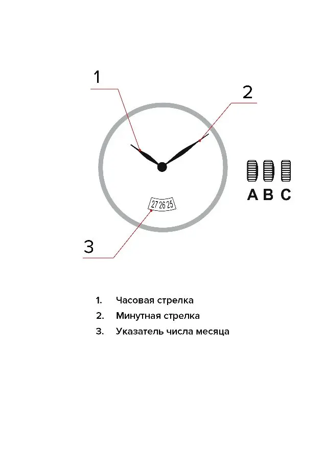 Изображение паспорта