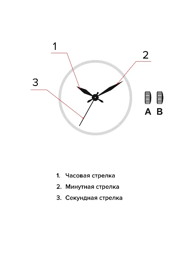 Изображение паспорта