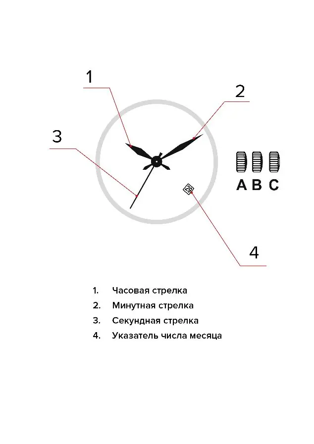 Изображение паспорта