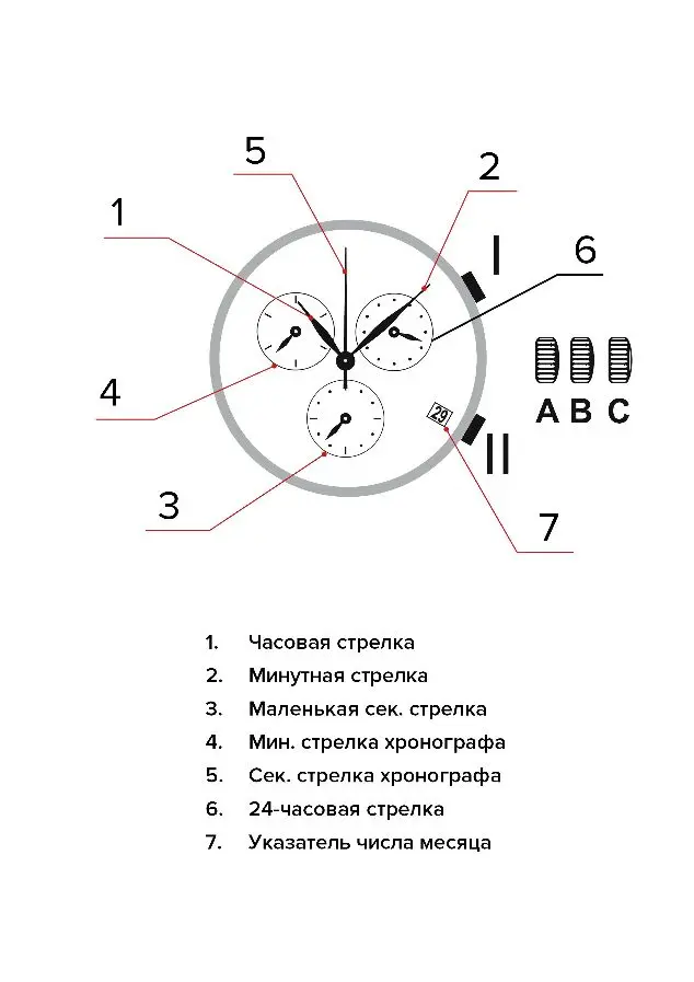 Изображение паспорта