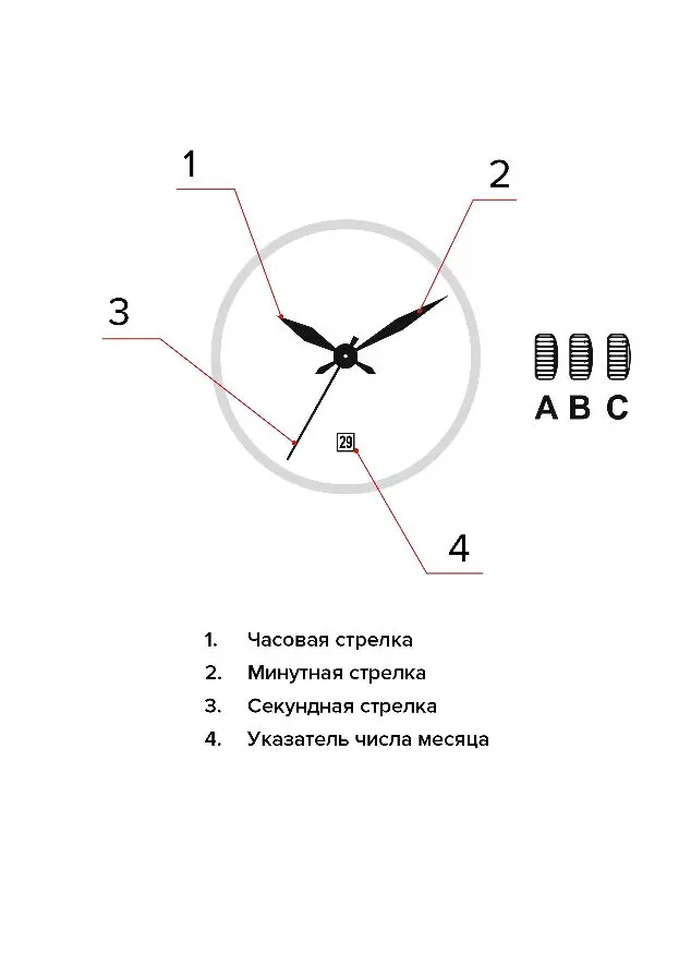 Изображение паспорта
