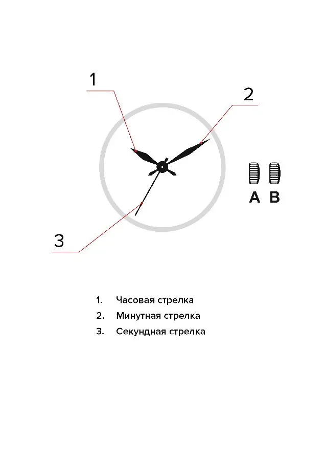 Изображение паспорта