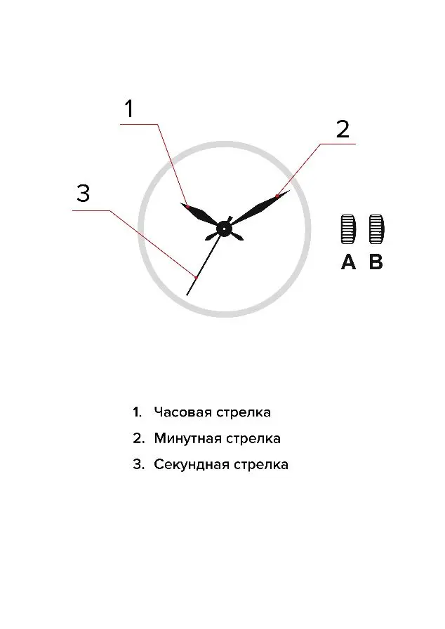 Изображение паспорта