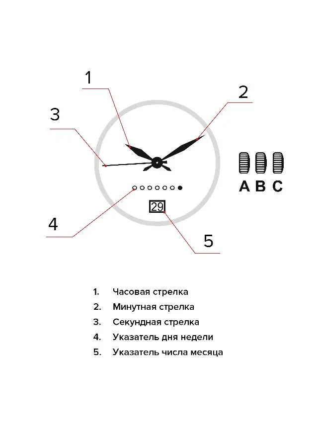 Изображение паспорта